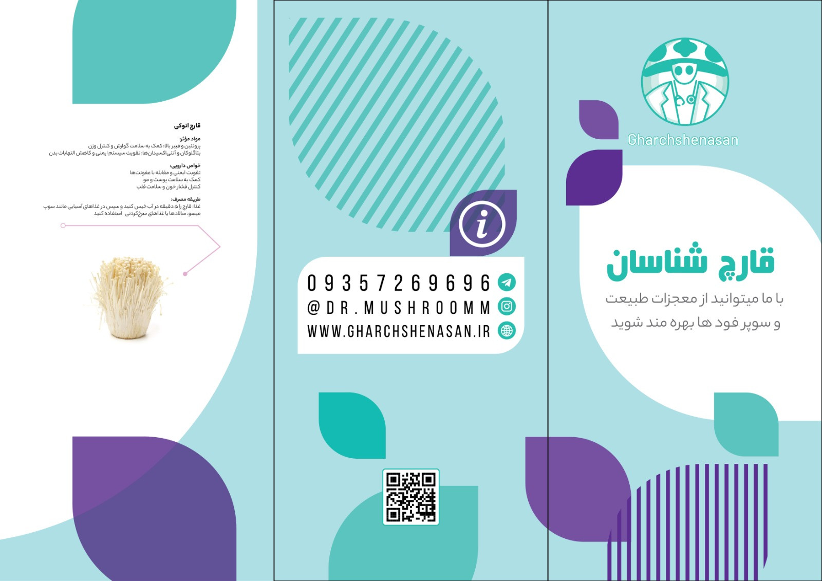 بروشور دکتر ماشروم