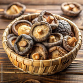قارچ شیتاکه