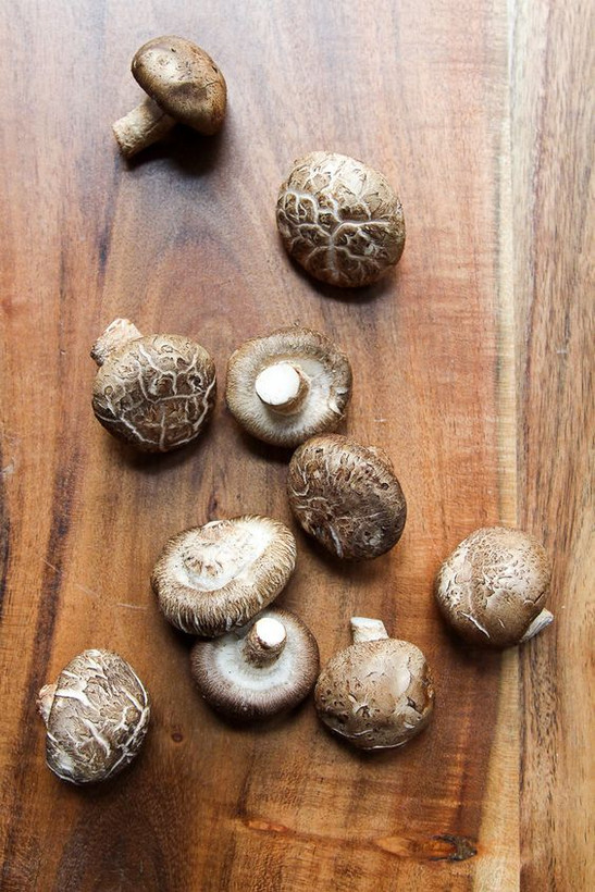 قارچ شیتاکه