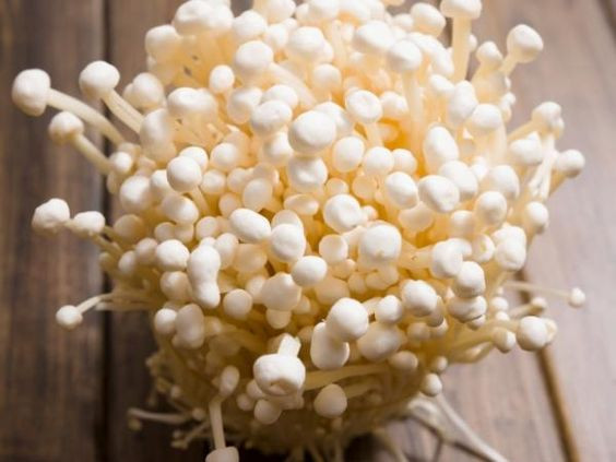 قارچ انوکی سفید