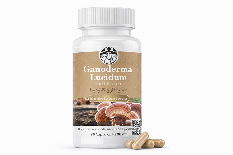 عصاره قارچ گانودرما لوسیدوم لوسیدم