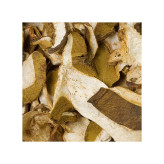 قارچ بولت پورچینی