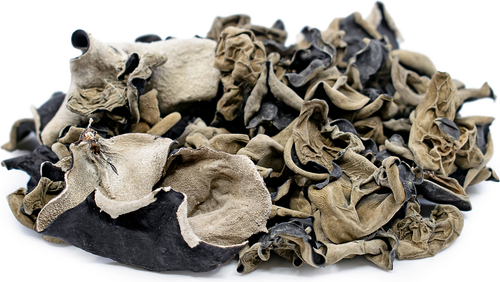 قارچ گوش چوب