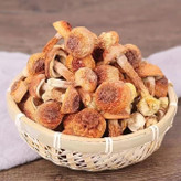 قارچ آگاریکوس بلازی